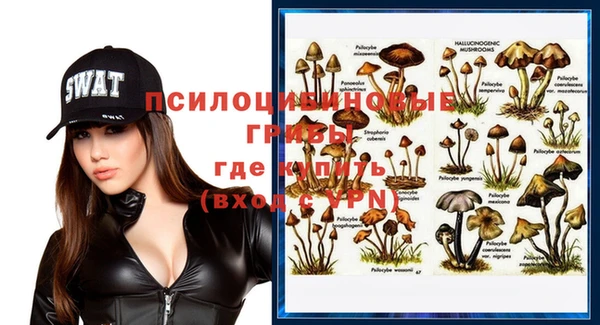 спиды Нея