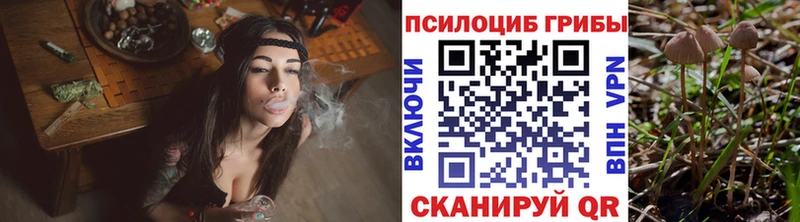 Псилоцибиновые грибы Psilocybine cubensis  МЕГА ONION  Артёмовский 